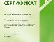 Администратор файловых серверов Боровицкий